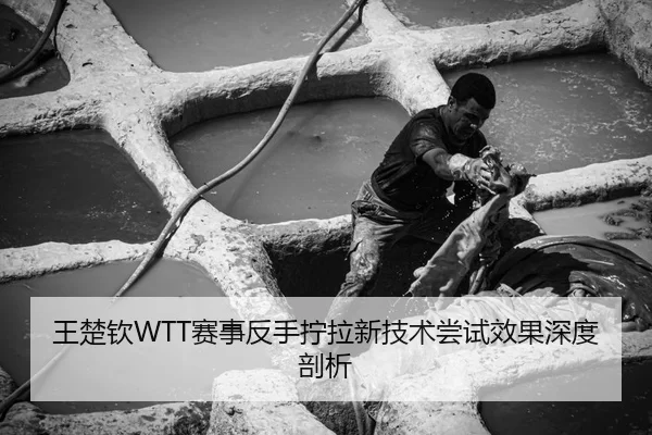 王楚钦WTT赛事反手拧拉新技术尝试效果深度剖析