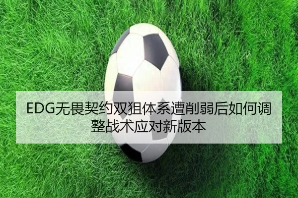 EDG无畏契约双狙体系遭削弱后如何调整战术应对新版本