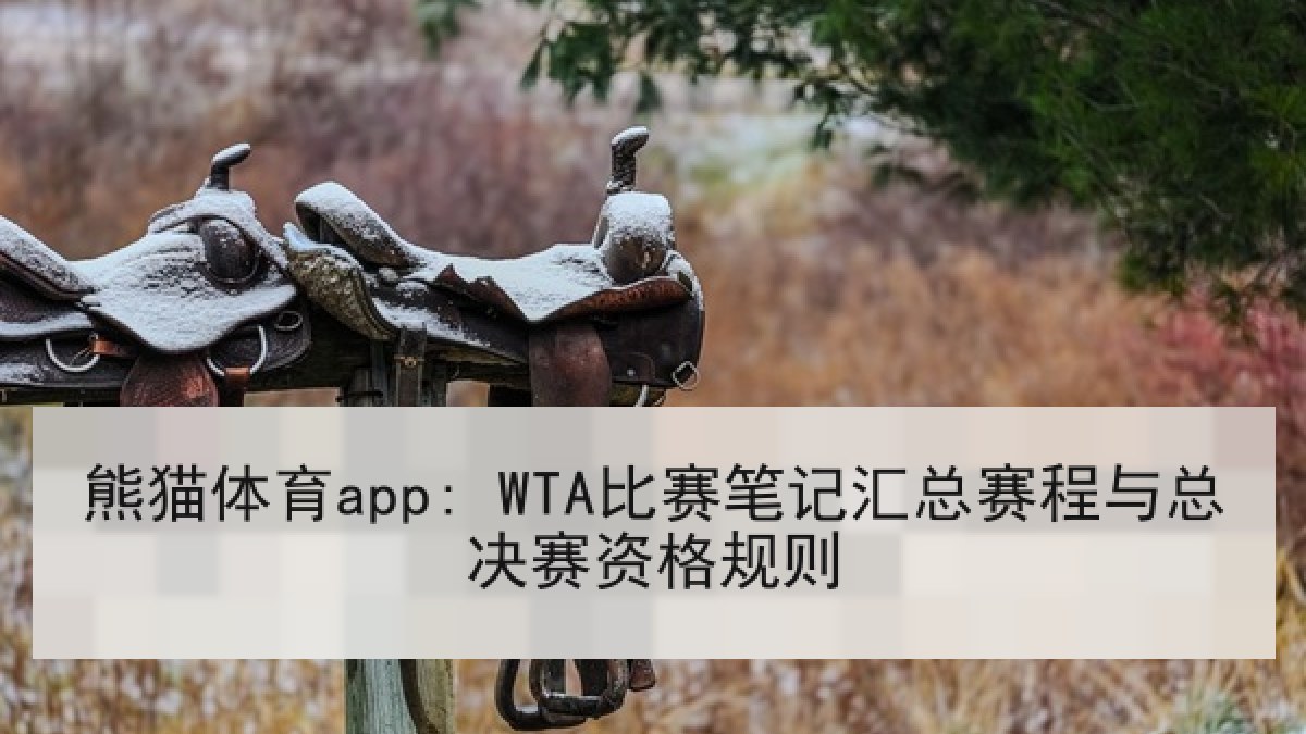 熊猫体育app: WTA比赛笔记汇总赛程与总决赛资格规则